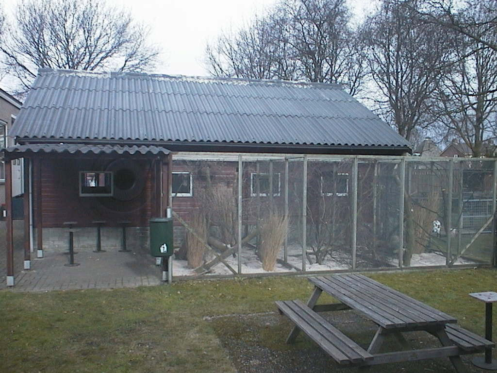 vijver en wei