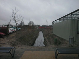 tuin