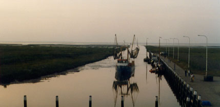 Vloed in de haven van Noordpolderziel